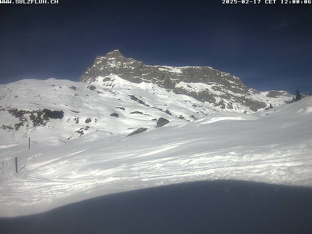 17.02.2025 12:00