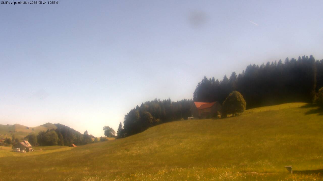 7h ago - 10:49