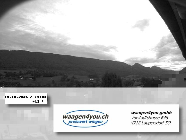 25h ago - 19:03