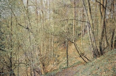 Franz Gertsch Frühling, 2009-11 Eitempera auf ungrundierter Baumwolle / tempera on unprimed cotton 325 x 480 cm Sammlung Dr. h.c. Willy Michel © Franz Gertsch