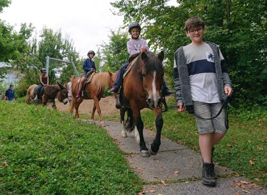 Titelbild des Events: Ponyreiten