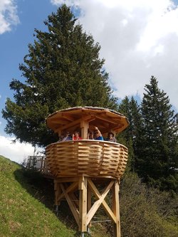 Wildspuren und Naturerwachen - 1