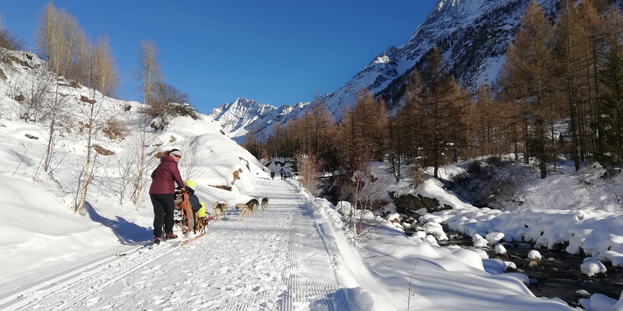 Schlittenhundefahrten im Lötschental