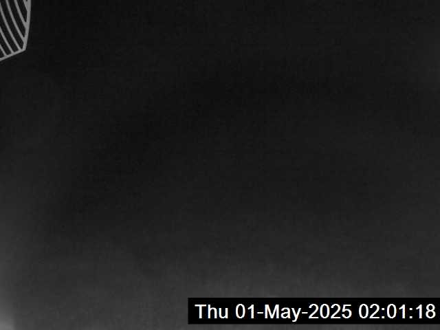 8h ago - 02:01