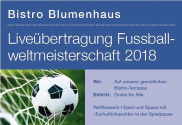 Liveübertragung Fussballweltmeisterschaft 2018 - 1