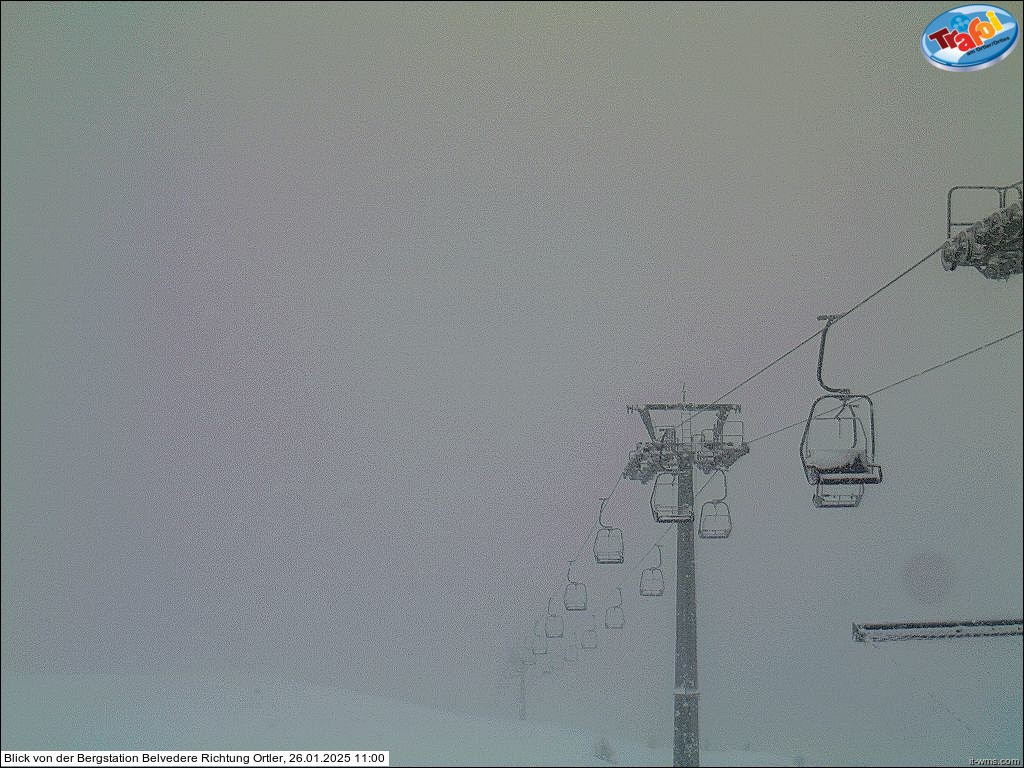 26.01.2025 11:00