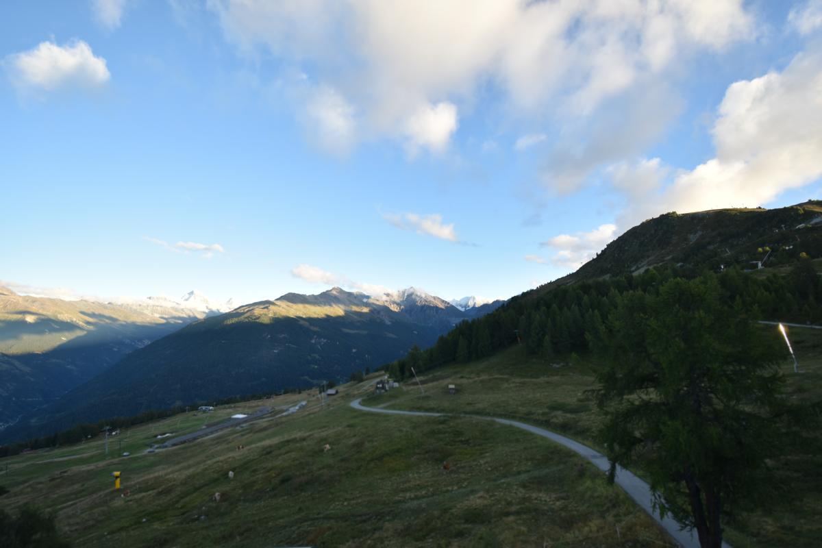 20h ago - 19:41