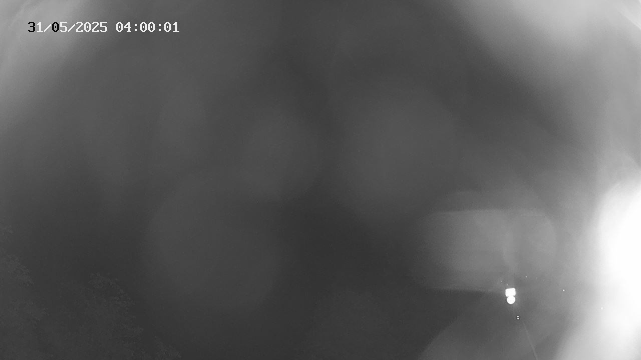 38h ago - 04:00