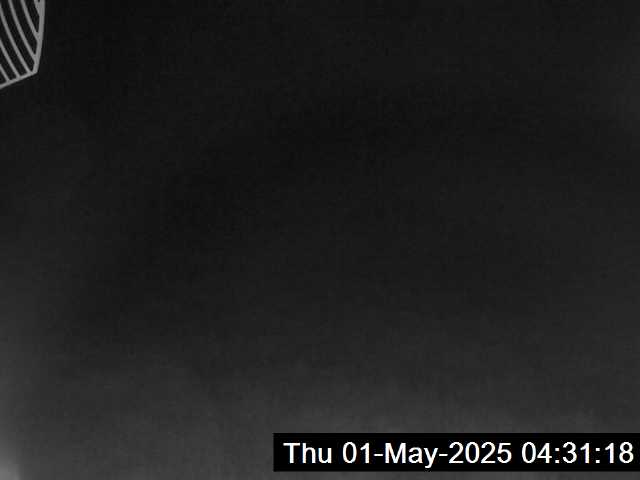 6h ago - 04:31