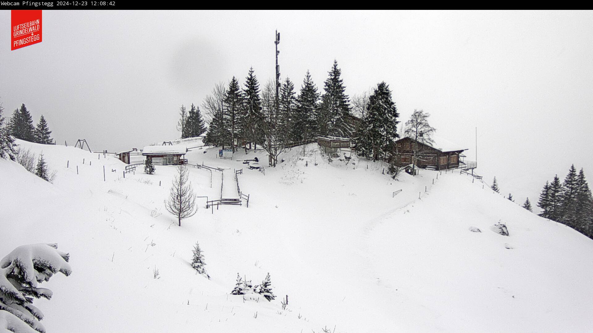 23.12.2024 12:09