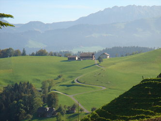 Bärüti - 1