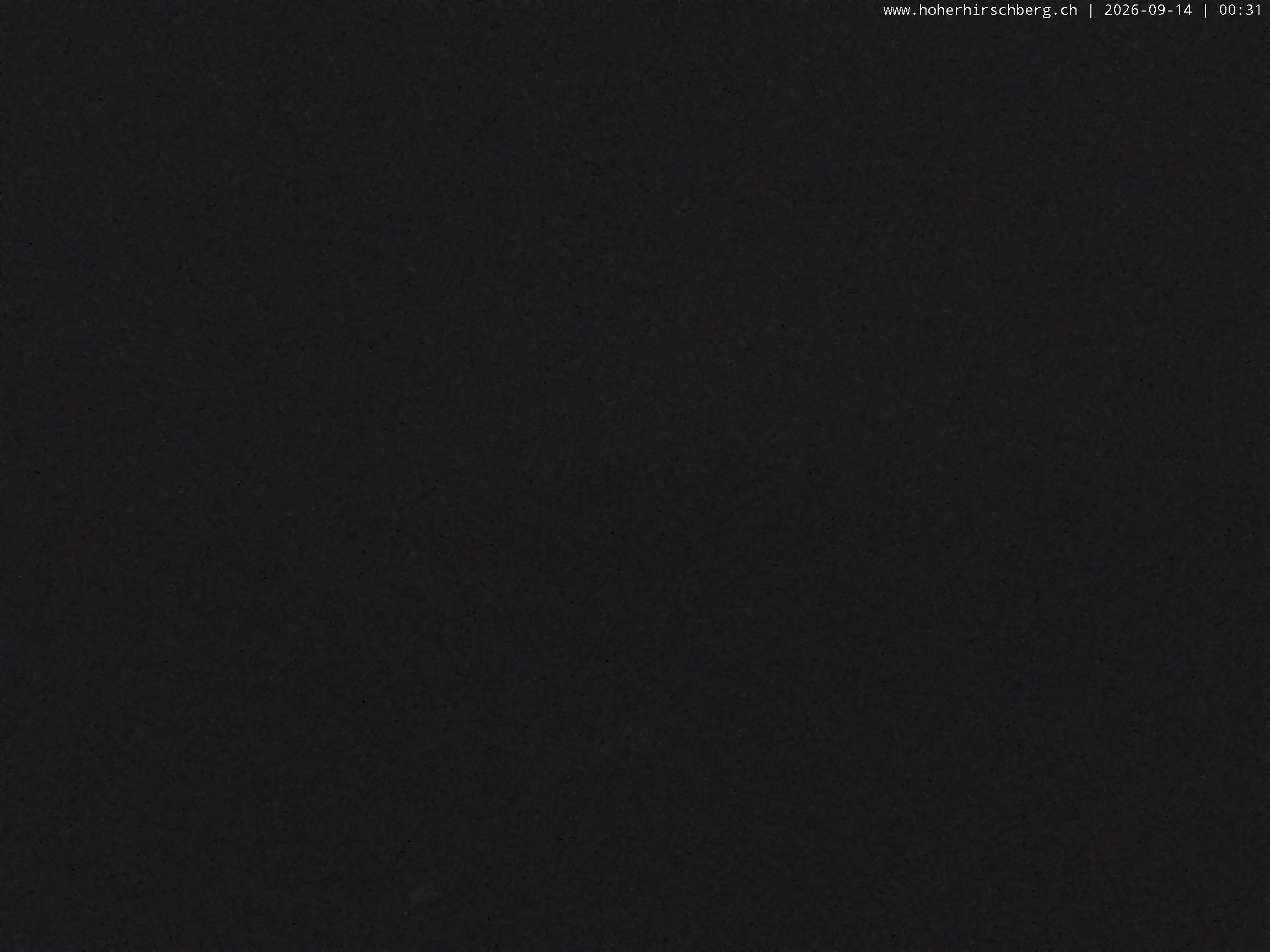 15h ago - 00:31