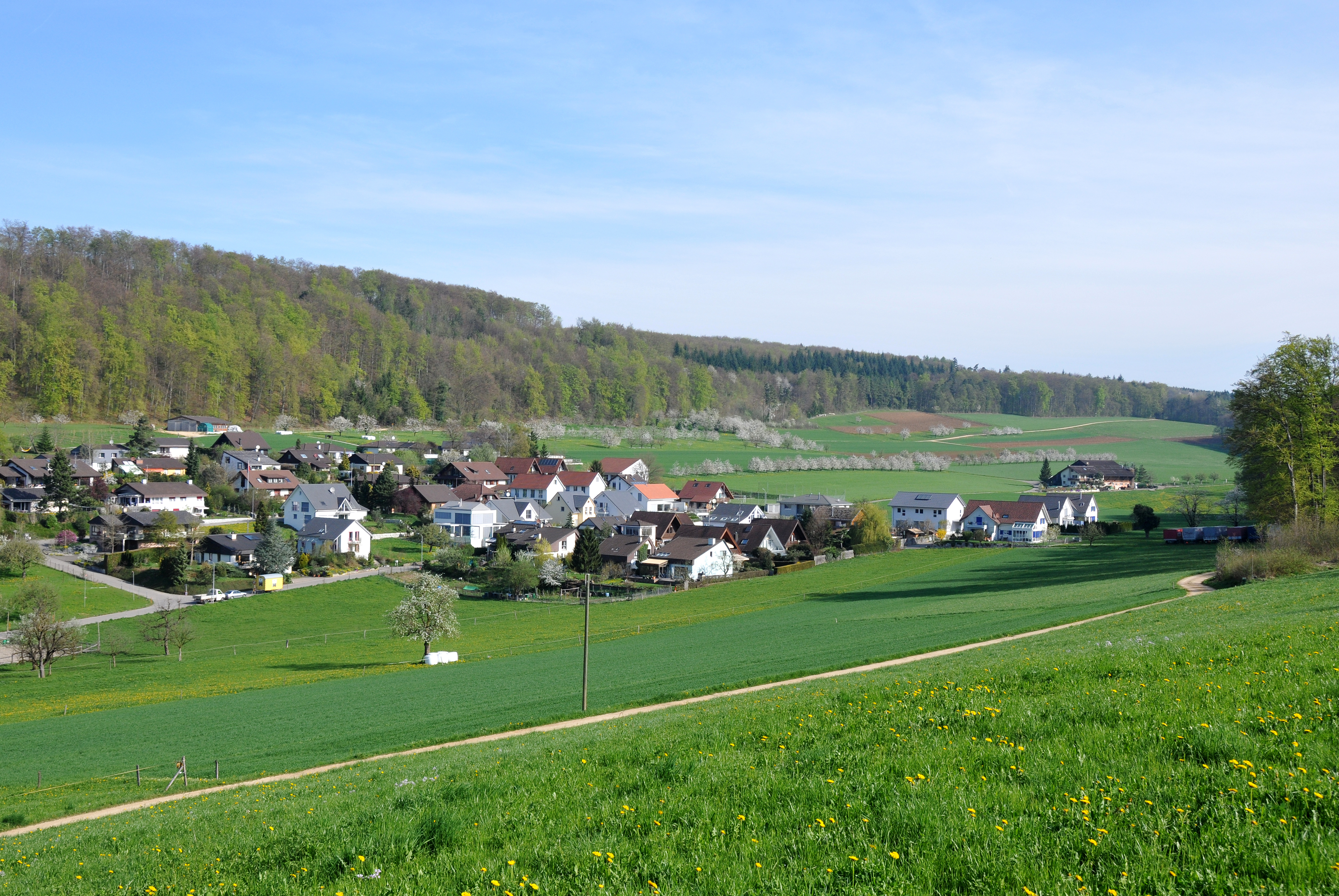 800 Jahre Hersberg