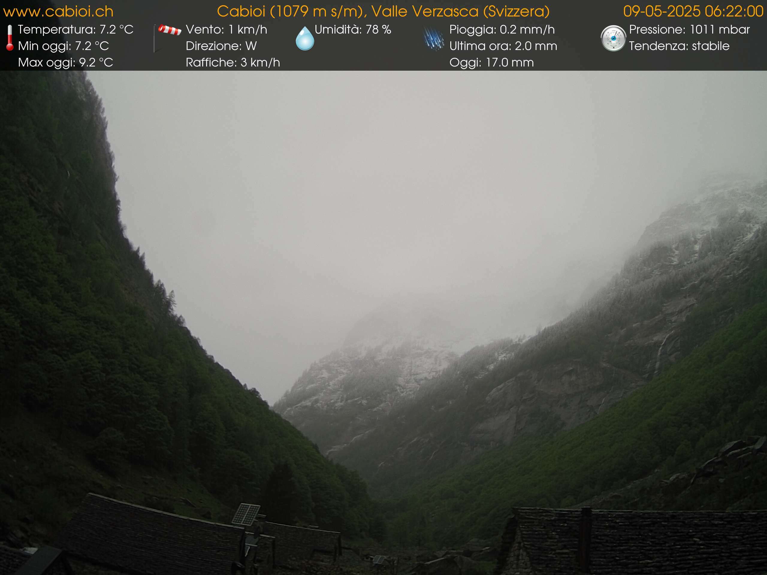1h ago - 06:31