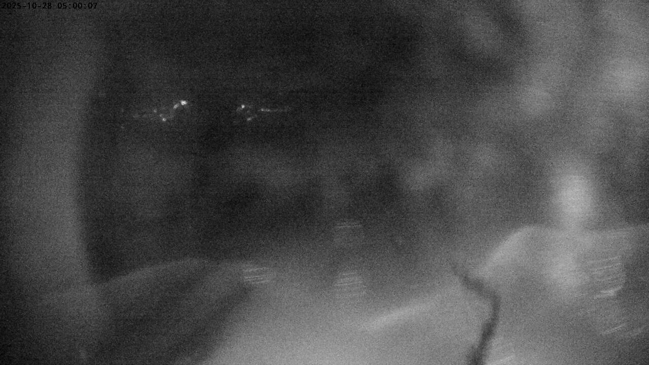 48m ago - 05:00