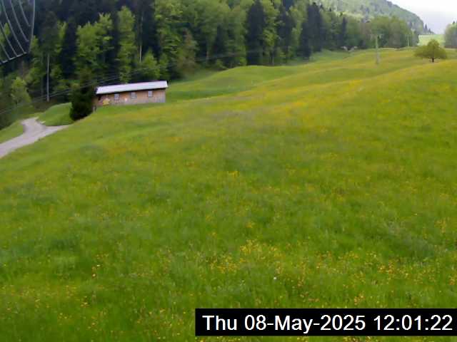 08.05.2025 12:01
