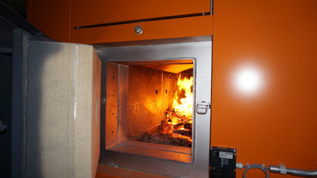 Nassschnitzel Holzfeuerung