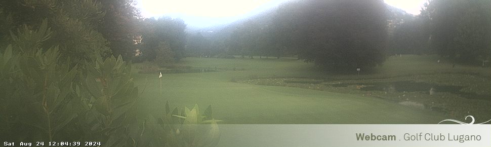 24.08.2024 12:04