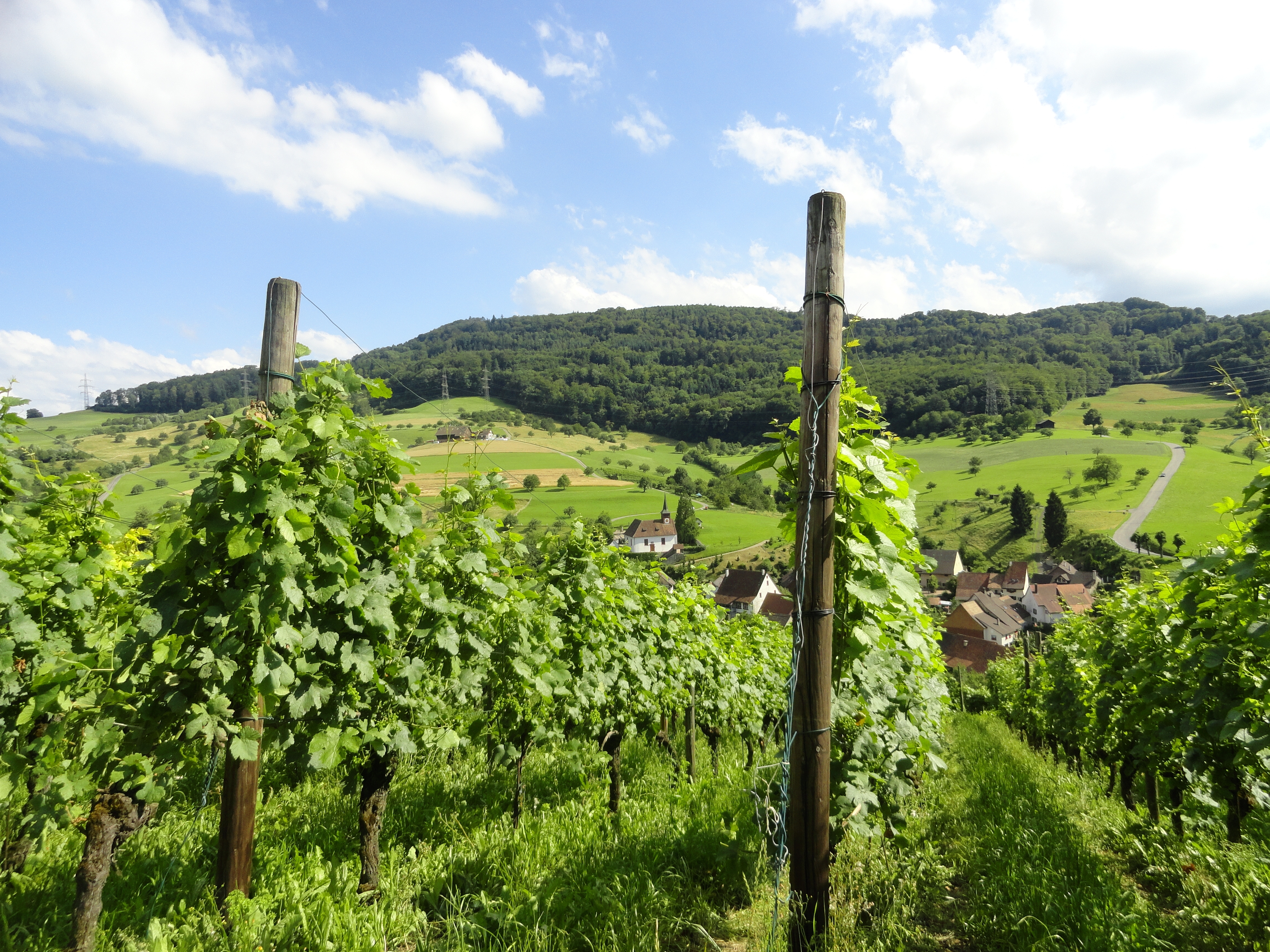 Das Wy-Erläbnis