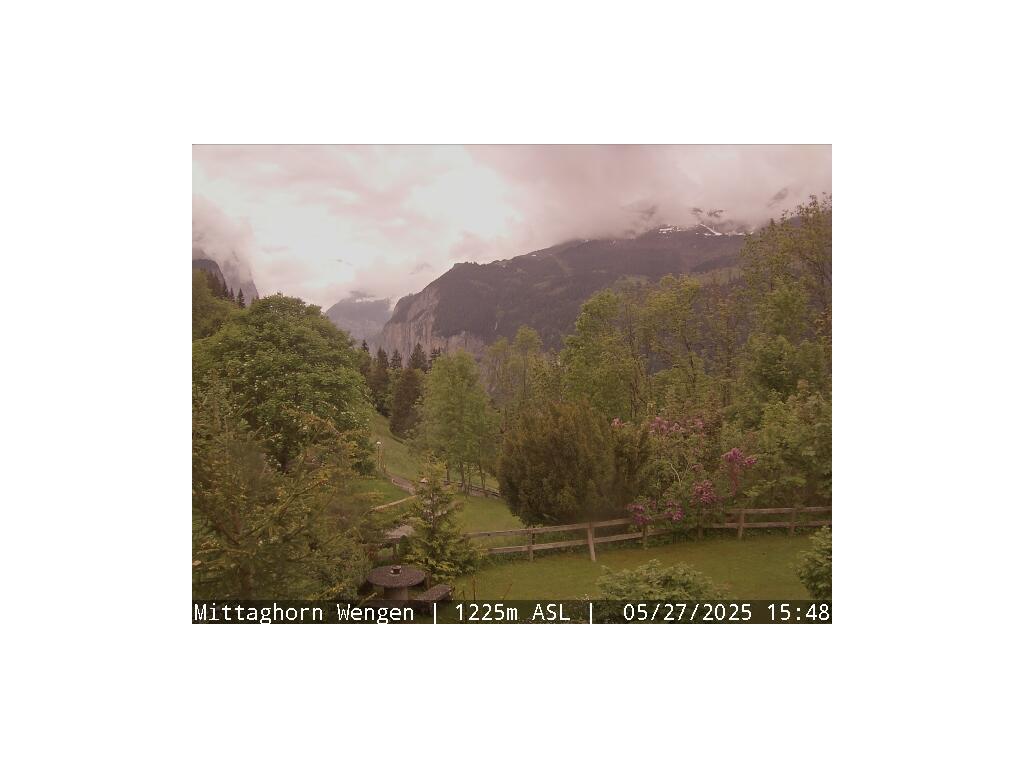 38h ago - 17:16