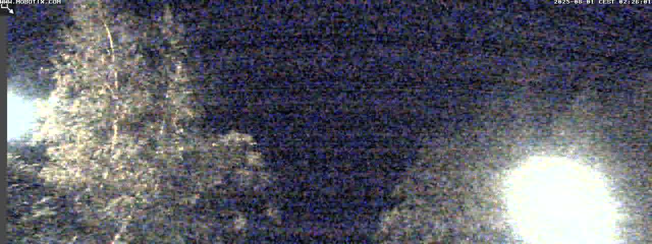 30h ago - 02:31