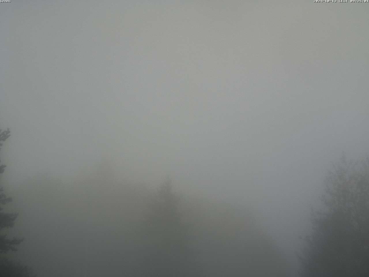 13.10.2024 12:29
