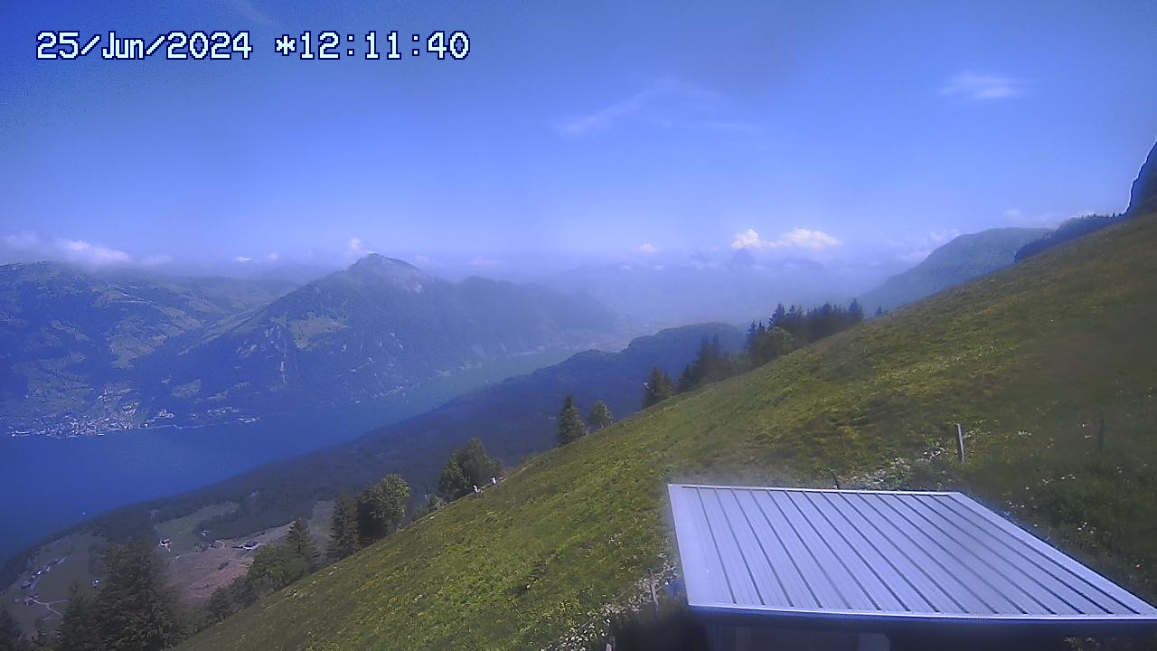 25.06.2024 12:01