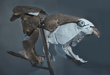 Panzerfisch, Lisa Schäublin / NMBE