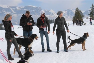 Winter-Military am Flumserberg - 1