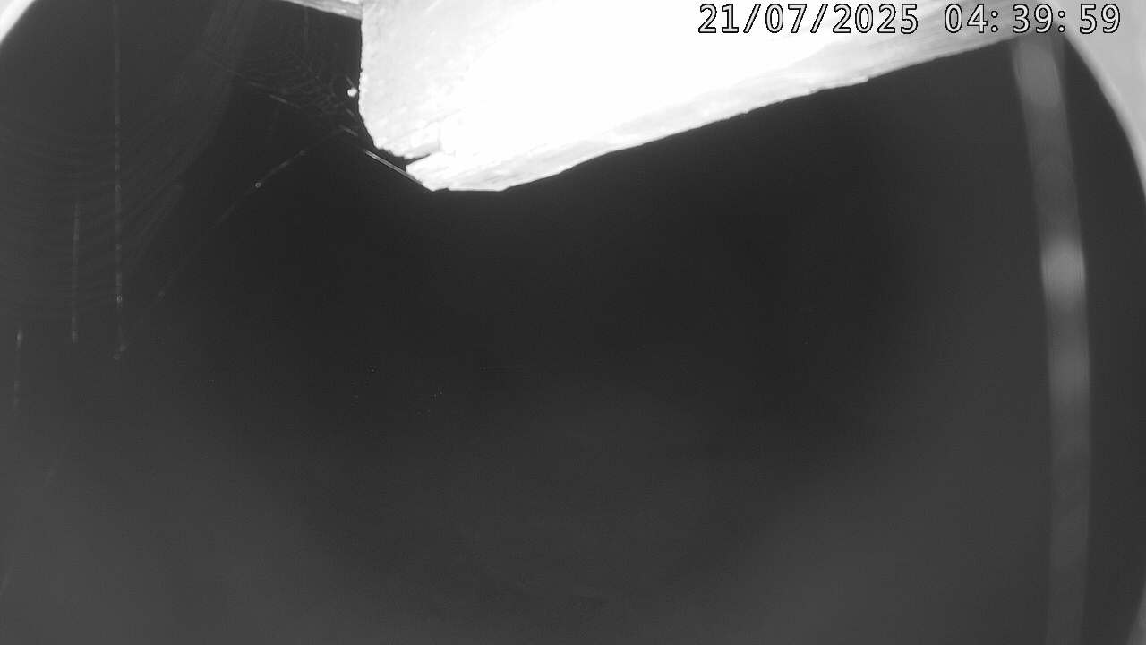 2h ago - 04:40