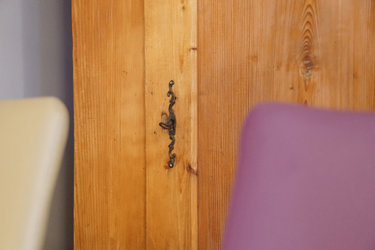 Image 21