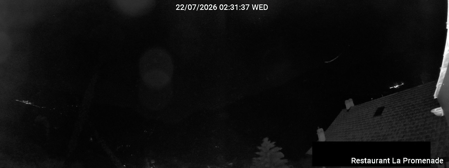 15h ago - 03:31