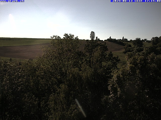 13.08.2024 17:41