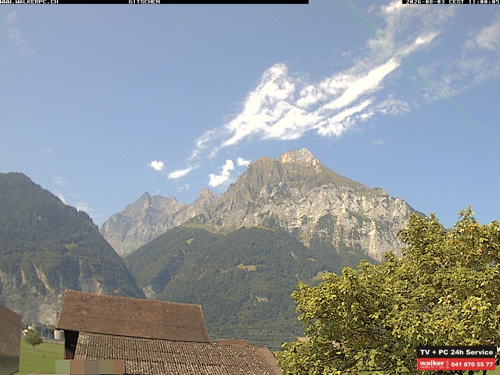 6h ago - 11:00
