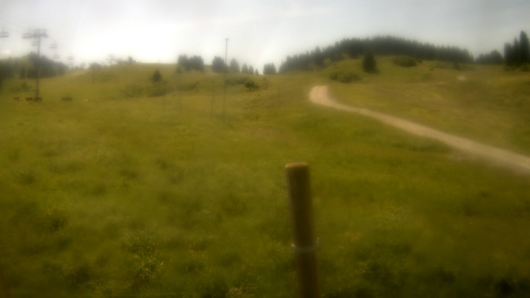17h ago - 13:30