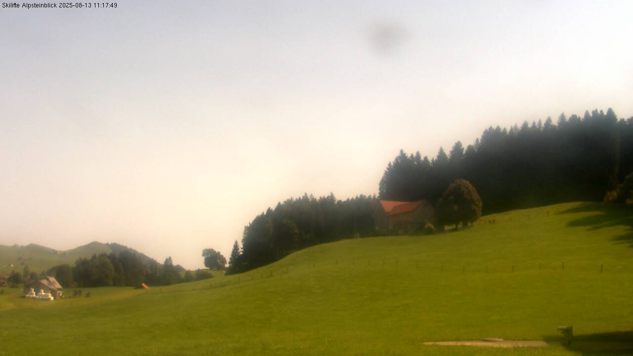 35h ago - 11:18