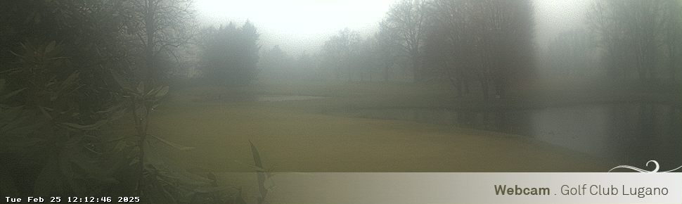 25.02.2025 12:12