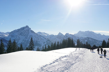 Winterwanderweg direkt vor dem Haus