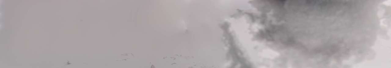11.01.2025 12:07
