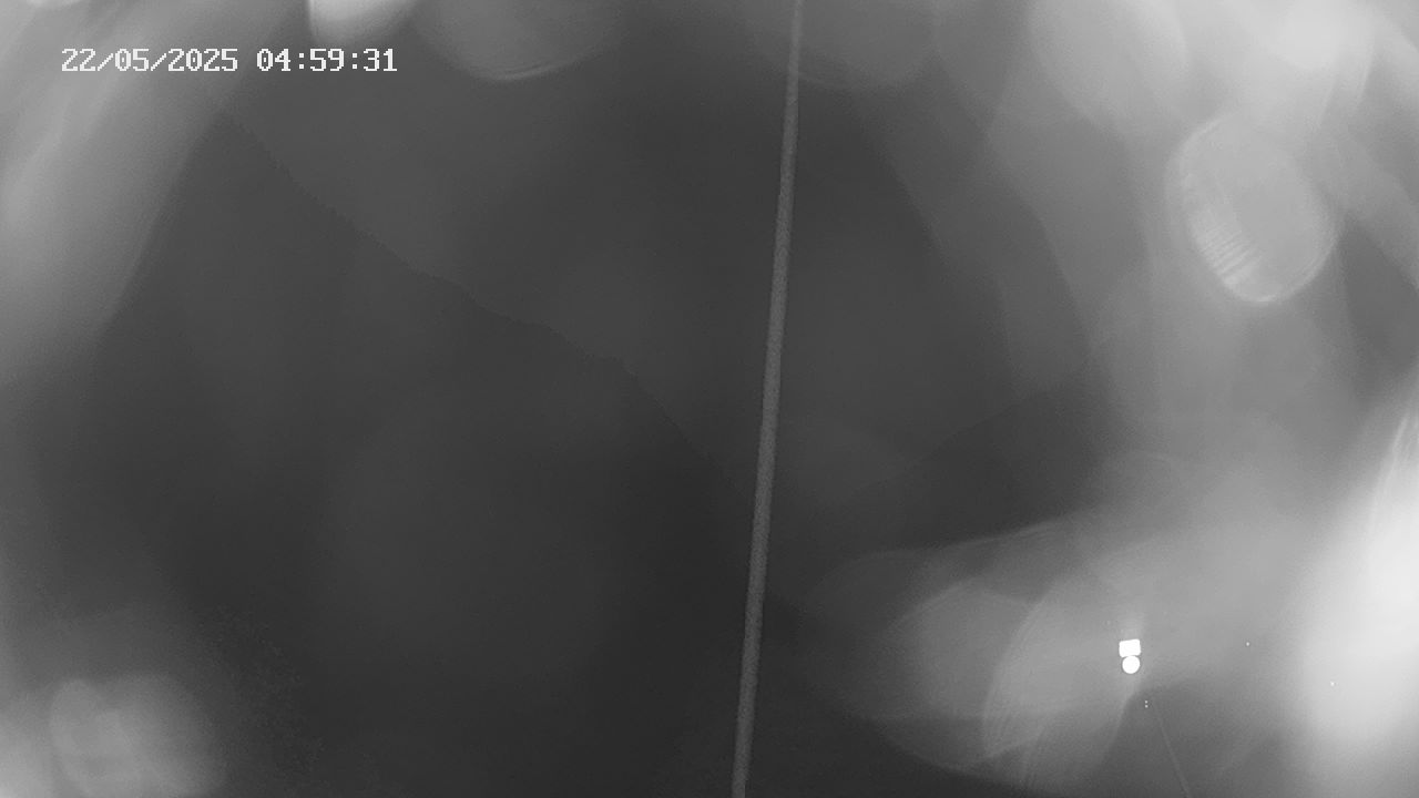 12h ago - 05:00
