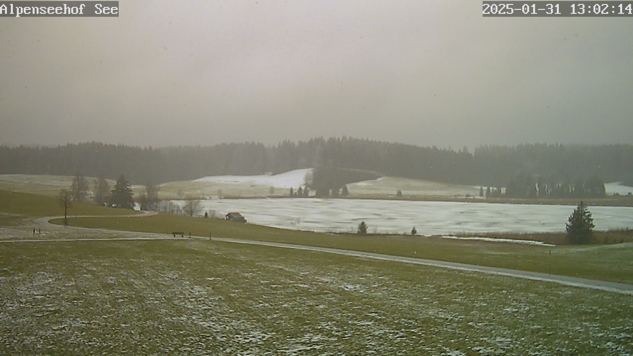 31.01.2025 12:02