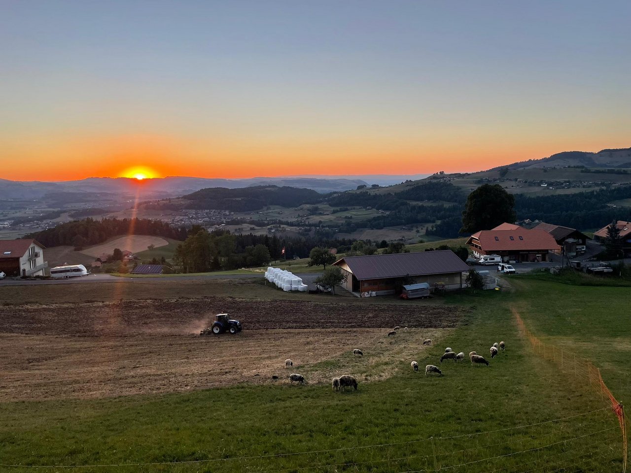 Hofladen Biohof-homberg - Homberg B. Thun - My Farm