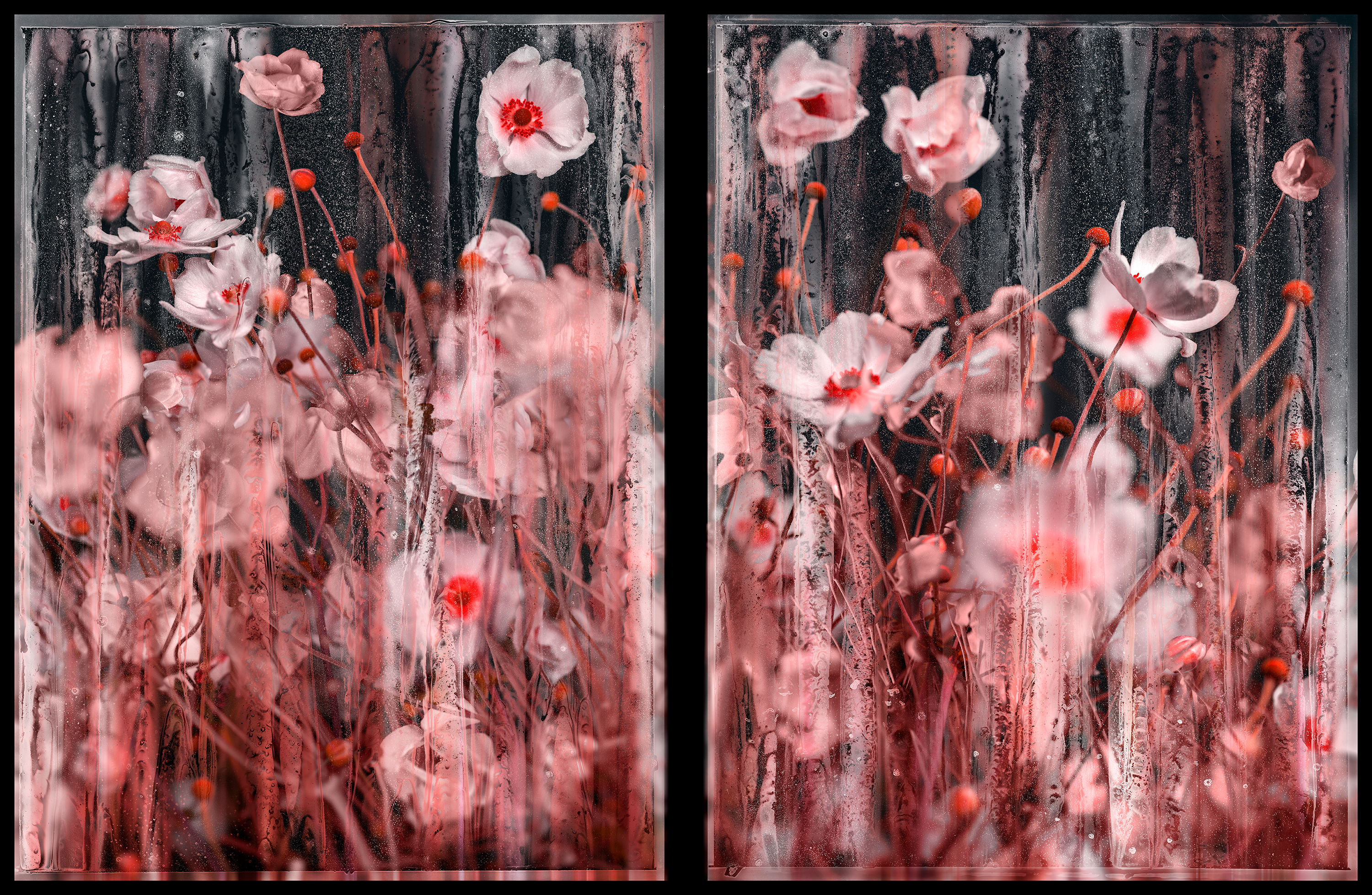 Titelbild des Events: Arpad Polgar & Kim Schwanhaeusser - Sehnsucht - Nostalgia