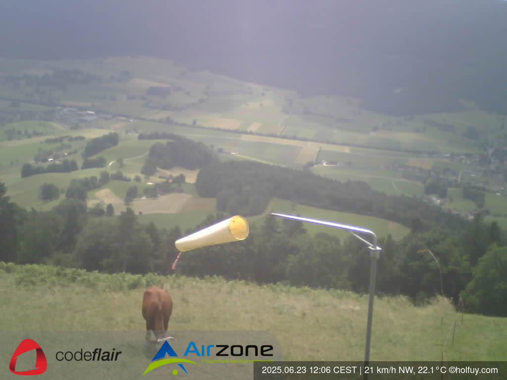 23.06.2025 12:06