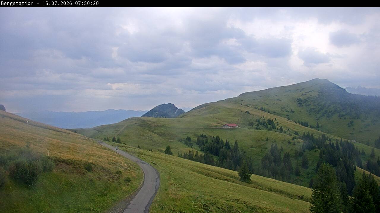 3h ago - 07:50
