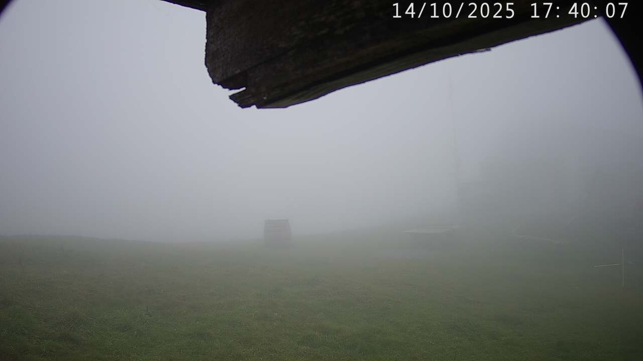 4h ago - 17:40
