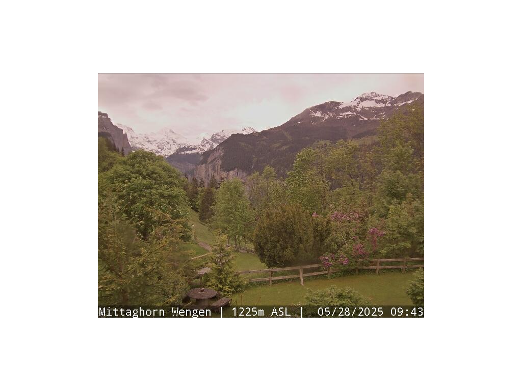 20h ago - 11:15