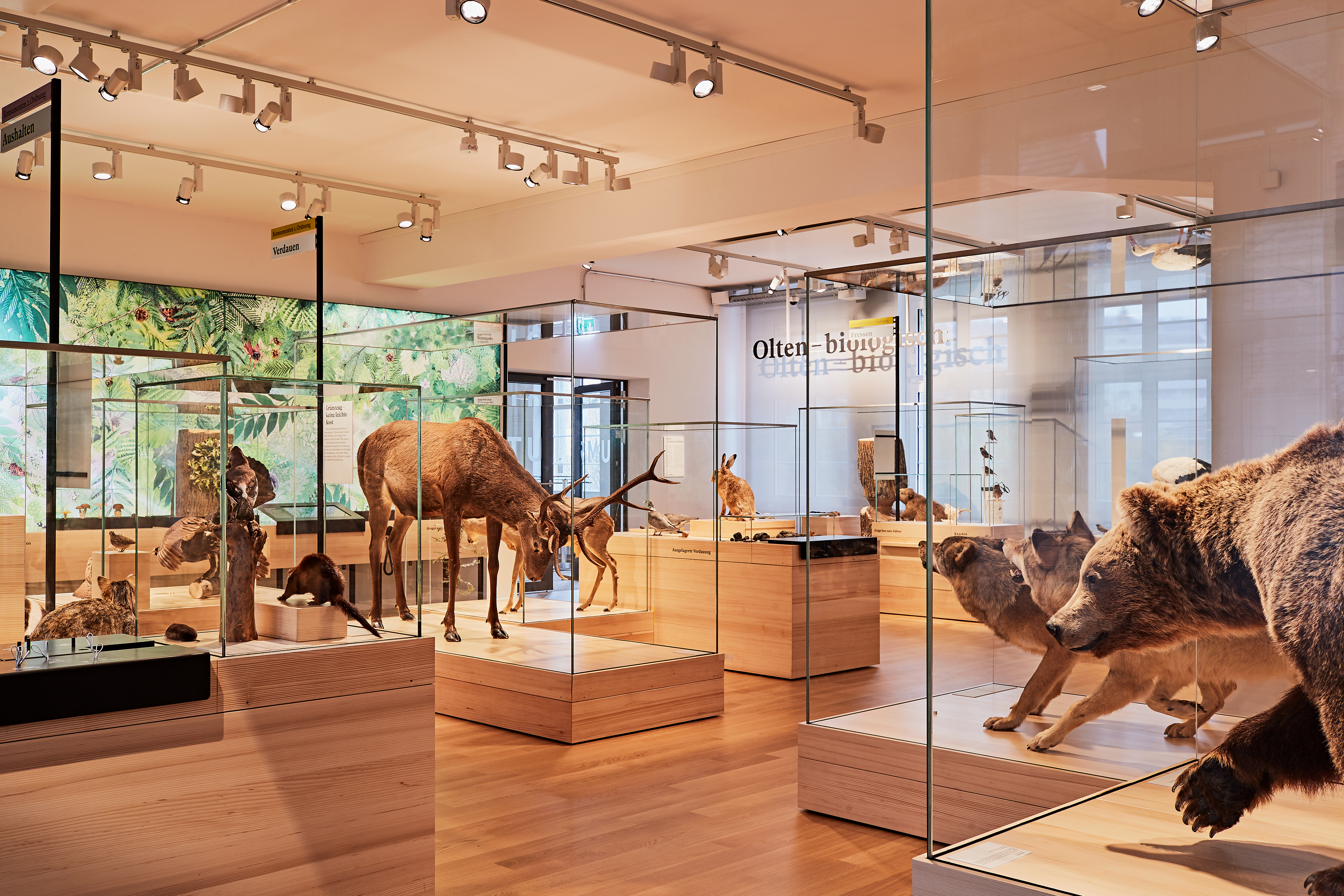 Naturmuseum Olten