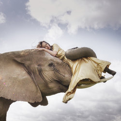 Annakin & Elephant