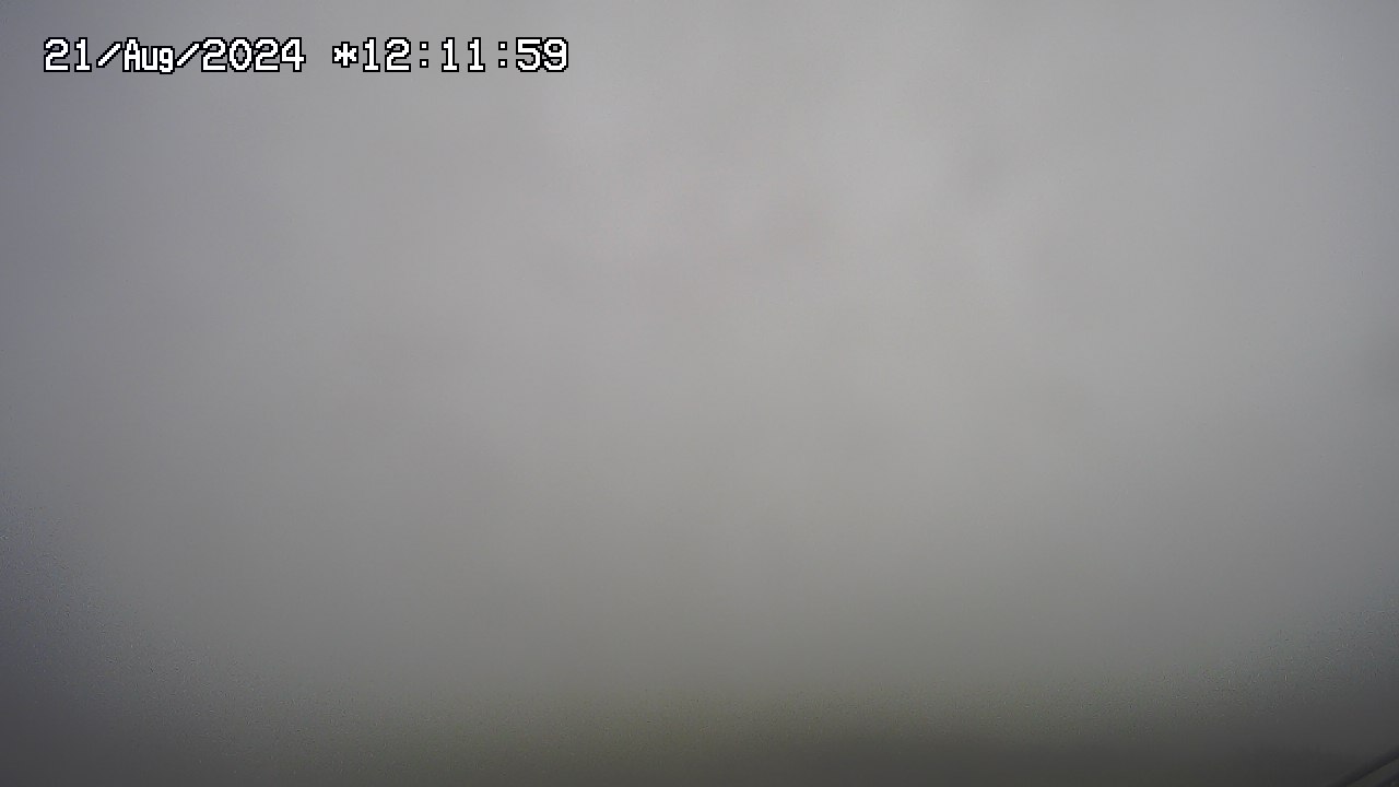 21.08.2024 12:01